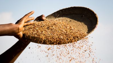 Working Together To Build Resilient Food Systems | Global Agriculture ...